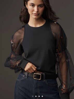 Anthropologie Sheer Embroidered Sleeves Top